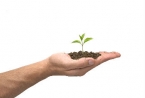 Sales Leadership Greatness: 4 Part Discussion about Coaching Styles - Part 1